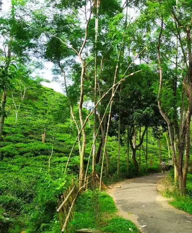 Sylhet